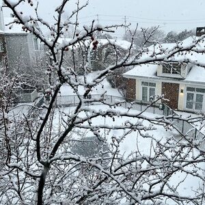 Meet your Posher, Dodi